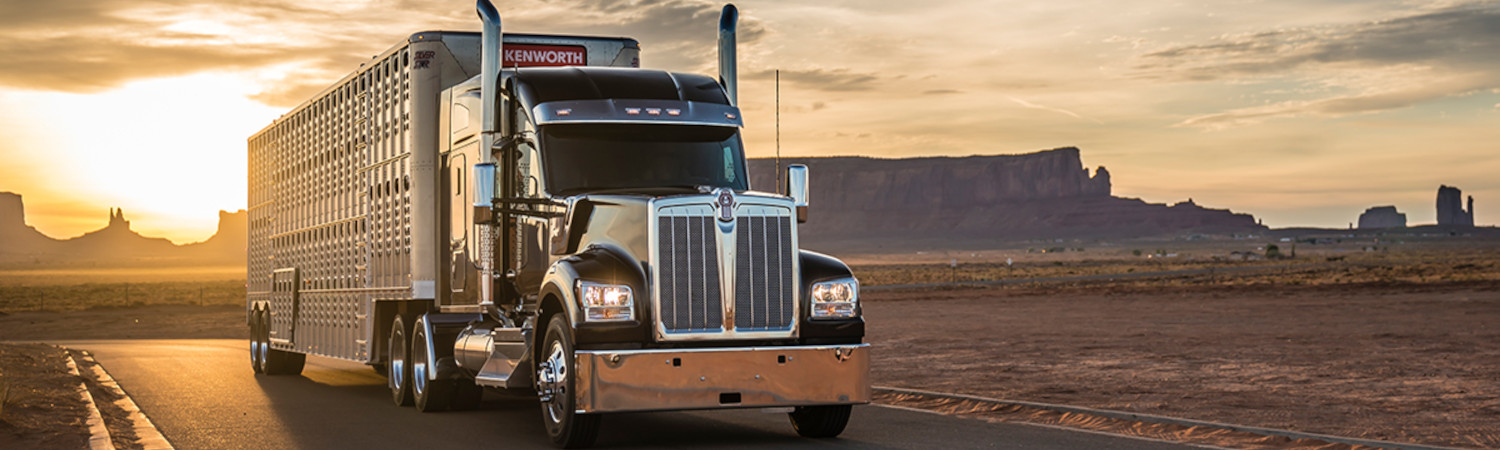 2025 Kenworth W990 for sale in Triangle Truck Sales, Tampa, Florida